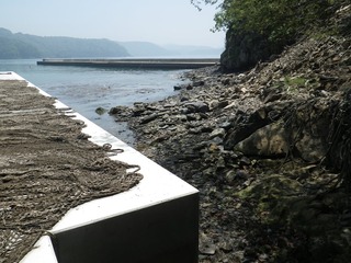 20140528_014牡鹿半島折浜