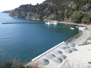 20120118_021牡鹿半島侍浜