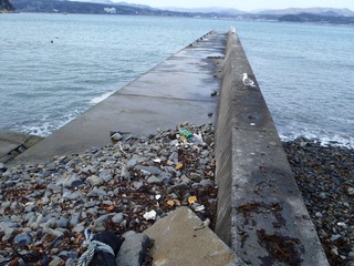 20130214_030旧志津川町南部坂本