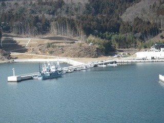 20150204_036牡鹿半島桃浦
