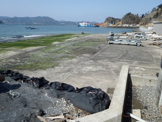 20130404_027女川飯子浜