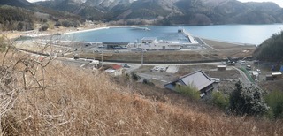 20150204_027牡鹿半島桃浦_stitch