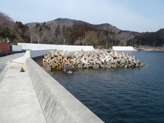 20190228_017女川指ヶ浜