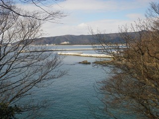 20150204_010牡鹿半島渡波佐須浜