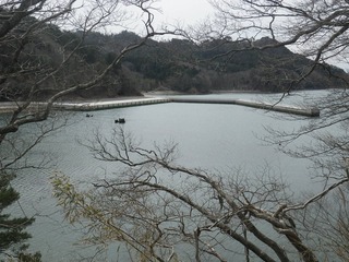 20150408_014牡鹿半島小積浜