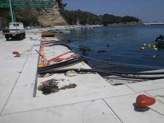 20140424_023宮戸島室浜