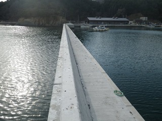 20150408_061牡鹿半島福貴浦