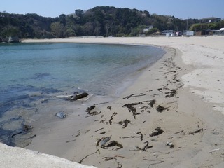 20140424_042宮戸島月浜