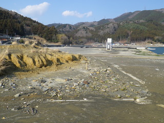 20120328_083牡鹿半島桃浦