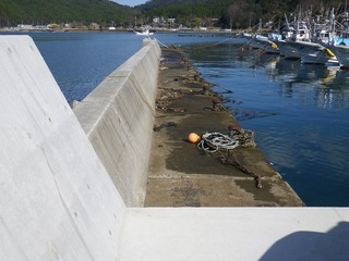 20131114_026牡鹿半島給分浜