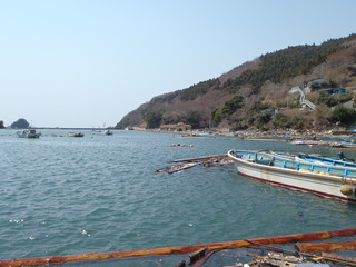 20110413_4130125牡鹿半島小竹浜