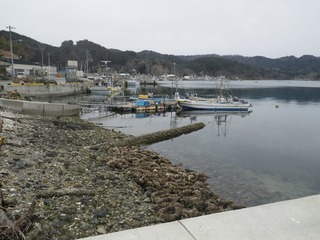 20160309_041牡鹿半島荻浜