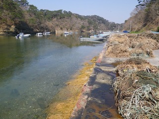 20140424_011宮戸島潜ヶ浦漁港
