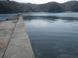 20120425_001牡鹿半島月浦