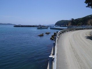 20140528_075牡鹿半島鹿立