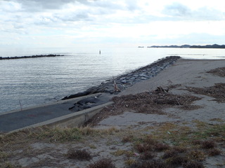 20111210_046鳴瀬川河口