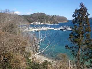 20150305_021女川指ヶ浜