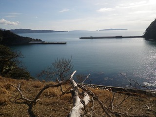 20150204_013牡鹿半島小竹浜