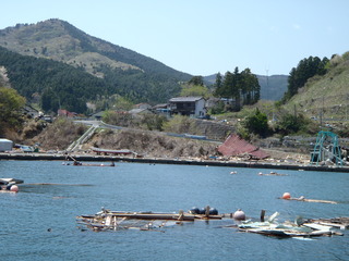 20110504_005雄勝小浜