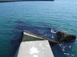 20140424_039宮戸島大浜