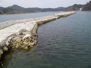 20150408_032牡鹿半島竹浜