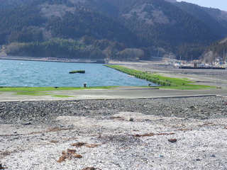 20120328_079牡鹿半島桃浦