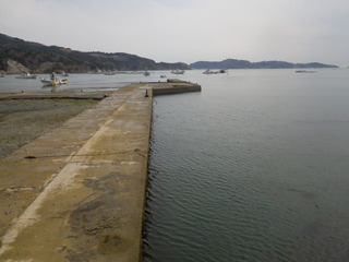 20120328_039牡鹿半島小網倉