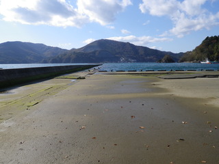20111116_011女川桐ヶ崎