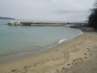 20160308_033雄勝波板