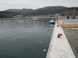20150226_060牡鹿半島西部表浜