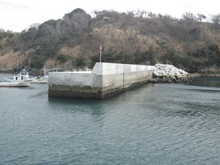 20150408_044牡鹿半島狐崎