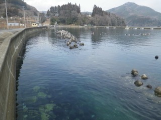 20160308_019雄勝水浜