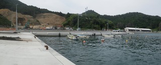 20150715_050女川竹浦_stitch