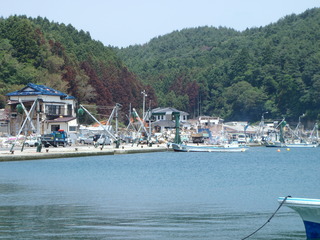 20110622_007女川尾浦