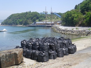 20140528_002牡鹿半島渡波佐須浜