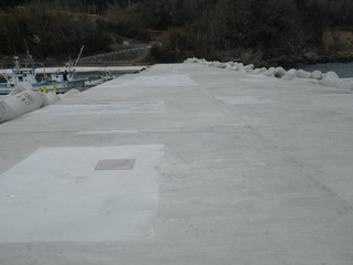 20140423_004女川高白