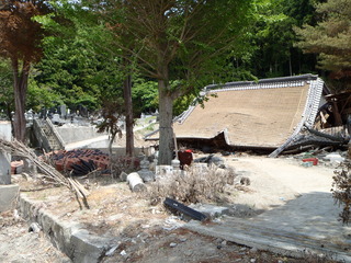 20110608_029牡鹿半島桃浦