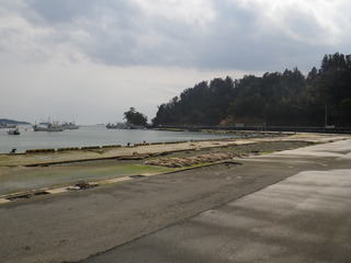 20120328_043牡鹿半島福貴浦