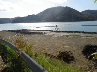 20111116_007女川石浜