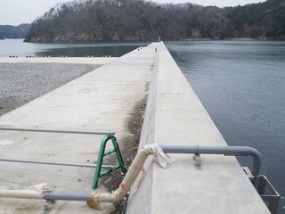 20160309_033牡鹿半島月浦