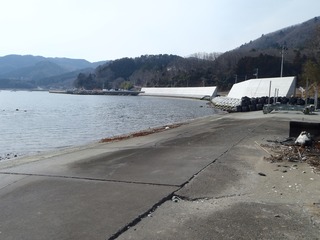 20190228_018女川指ヶ浜