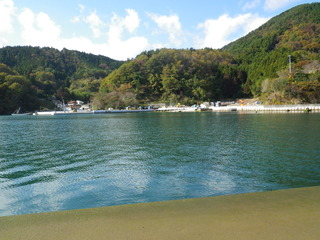 20111116_014女川竹浦