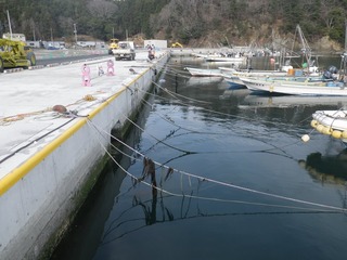 20150408_064牡鹿半島福貴浦