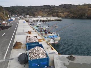 20150408_050牡鹿半島狐崎