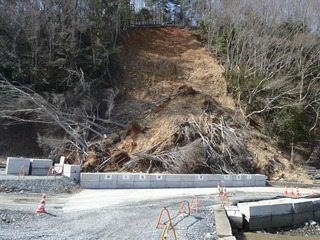 20130404_018女川大石原