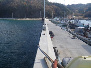 20141119_017女川町飯子浜