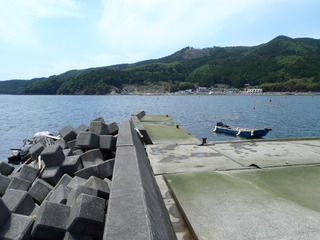 20110608_032牡鹿半島桃浦