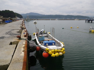 20120725_068旧志津川町南部波伝谷