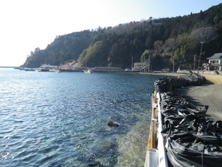 20120118_011牡鹿半島折浜
