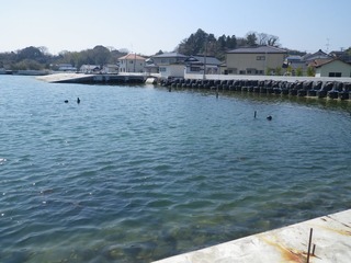 20140424_010宮戸島里浜